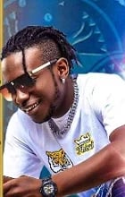 Fanicko - BSA D'OR 2017